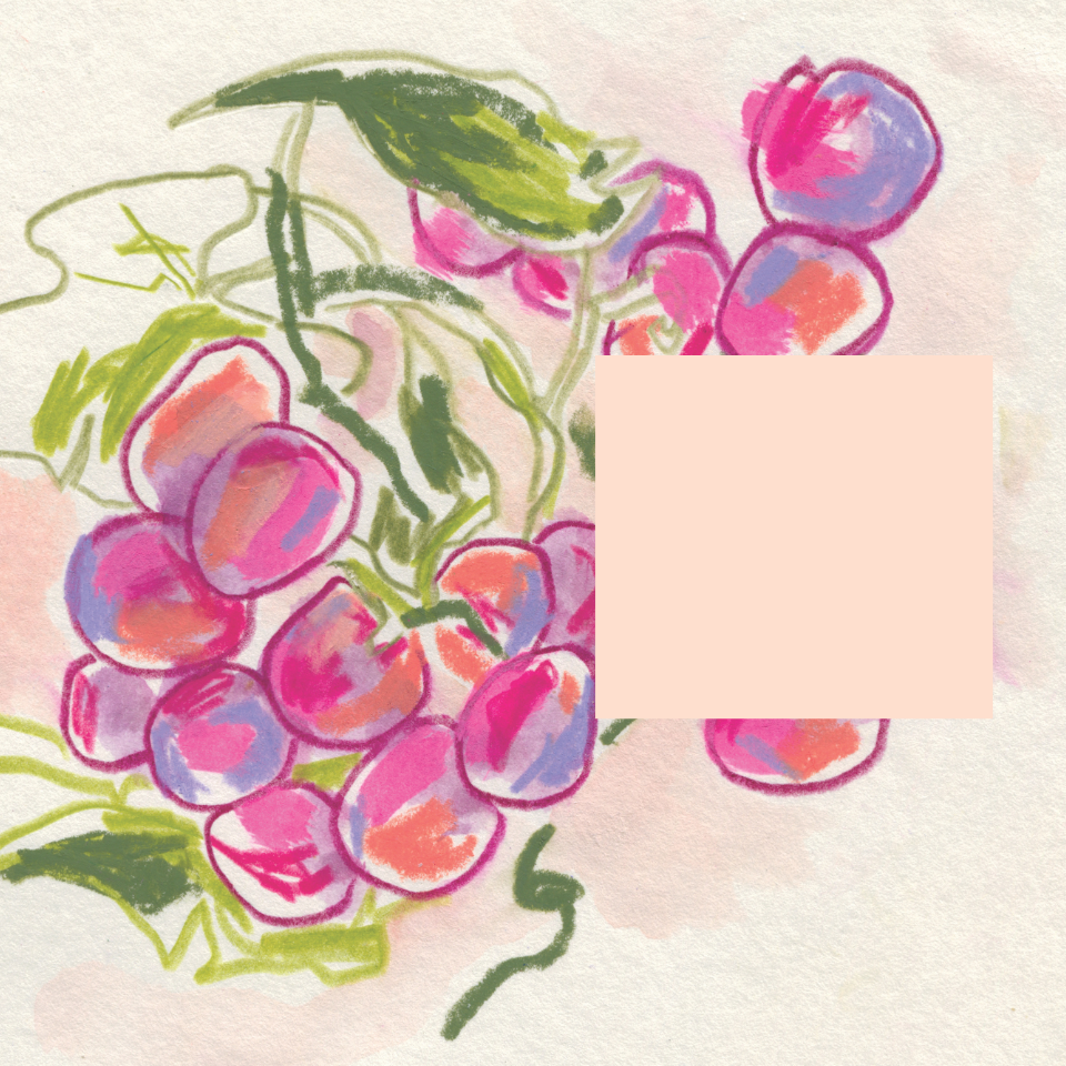 Grapoila webáruház