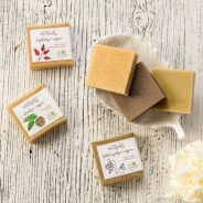 Seed oil soaps